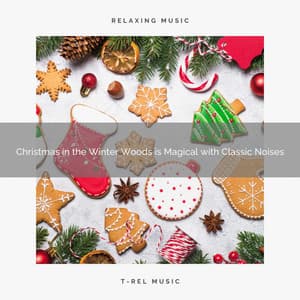 Christmas in the Winter Woods is Magical with Classic Noises - The Forest Escape