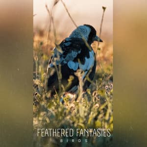 Feathered Fantasies - Birds