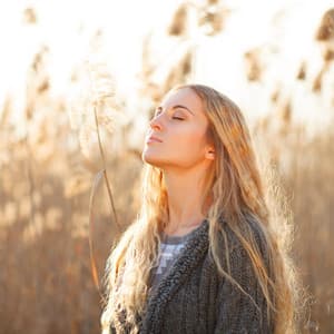 Chillout Odyssey: Serenades of Calm - Morning Chill Playlist