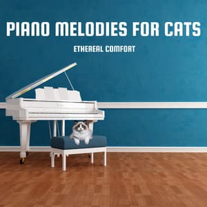 Piano Melodies for Cats: Ethereal Comfort - Comfort in Cats