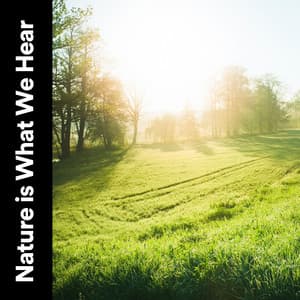 Nature Is What We Hear - Weather Garden