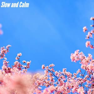 Slow and Calm - Musica Tranquila ClAisico