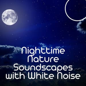 Nighttime Nature Soundscapes with White Noise, Loopable - Nature Ambience