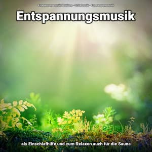 Entspannungsmusik als Einschlafhilfe und zum Relaxen auch für die Sauna - Entspannungsmusik Abteilung