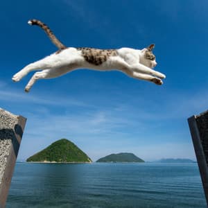 Saltwater Purr: Ocean Music for Cats - Emeraldic