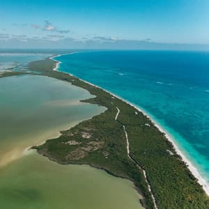 Sleepy Brown Relaxing Noise to Sleep - Black Noise Sleep