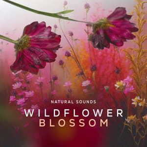 Wildflower Blossom - Natural Sounds