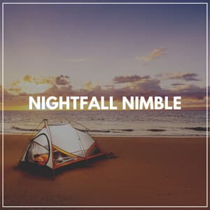 Nightfall Nimble - The Sleep Principle
