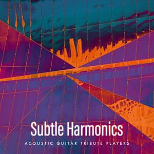 Subtle Harmonics - Acoustic Guitar Tribute Players