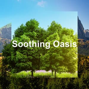 Soothing Oasis - Winds of Serenity