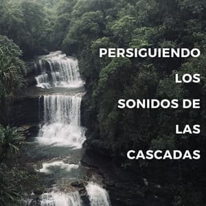Persiguiendo Los Sonidos De Las Cascadas - Banco de sonidos de agua