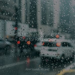 50 Ultimate Sounds of Rain for Relaxation - Music For Absolute Sleep