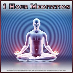 1 Hour Meditation: Relaxing Meditation Music and Nature Sounds, Spa, Background Spa Music, Yoga and Soothing Wellness Music - Meditation