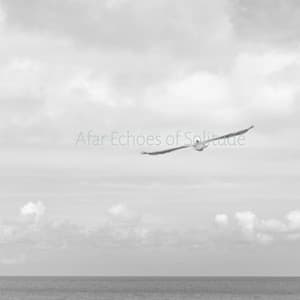 Afar Echoes of Solitude - Lumenis