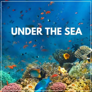 Under the Sea - Nature Of Sweden