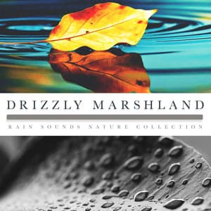Drizzly Marshland - Rain Sounds Nature Collection
