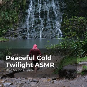 Peaceful Cold Twilight ASMR - Rain Sounds Sleep