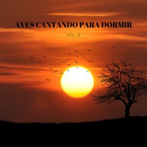 Aves Cantando Para Dormir Vol. 2 - Balneario