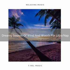 Dreamy Sounds Of Wind And Woods For Ultra Nap - Calm Sea Sounds
