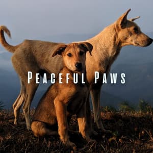 Peaceful Paws: Meditative Piano Sounds for Tranquil Doggy Time - Chakra Cleansing Music Sanctuary