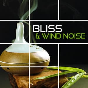 Bliss & Wind Noise – Music for Relaxation & Meditation, Sleep Song, Lucid Dream, Binaural Beats with Delta Waves - Brain Waves Music Academy