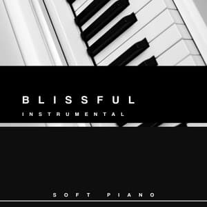 Blissful Instrumental - Soft Piano