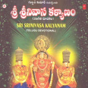 Sri Srinivasa Kalyanam - B.Ramana