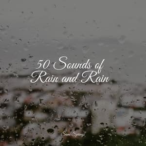 50 Sounds of Rain and Rain - Alpha Waves