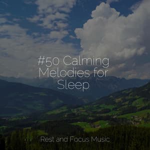 #50 Calming Melodies for Sleep - Study Power