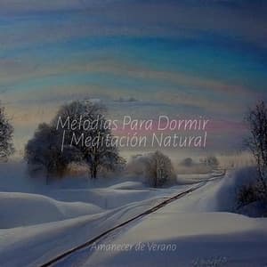 Melodías Para Dormir | Meditación Natural - Meditation