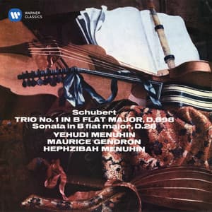 Schubert: Piano Trio No. 1, D. 898 & Sonatensatz, D. 28 - Franz Schubert