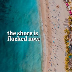 The Shore Is Flocked Now - Ocean & Sea Sounds