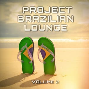 Brazilian Lounge Project, Vol. 2 - Luxury Lounge Café