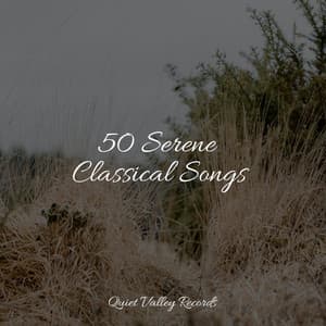 50 Serene Classical Songs - Rain Sound Plus