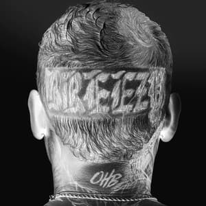 Breezy - Chris Brown