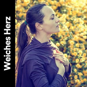 Weiches Herz - Musik zum Lernen