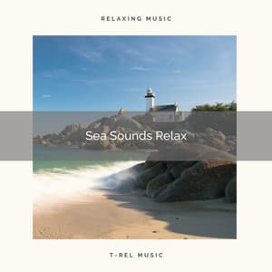 2021: Sea Sounds Relax - Ocean Sleep Sounds
