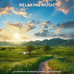 #01 Relaxing Music to Calm Down, for Napping, Reading, Inner Strength - Wellness