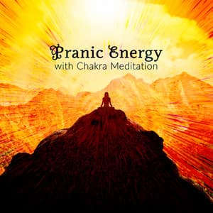 Pranic Energy with Chakra Meditation - Meditation Group