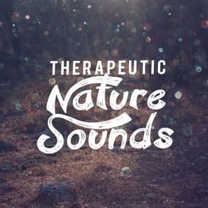 Therapeutic Nature Sounds - Soundscapes