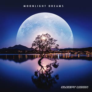 Moonlight Dreams - Sleepy Moon