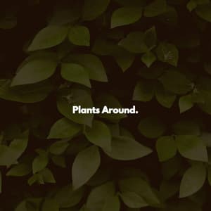Plants Around. - Music for Stress Relief