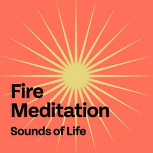 Fire Meditation - Sounds Of Life