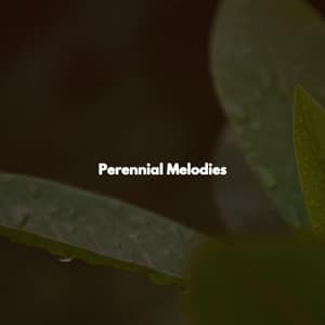 Perennial Melodies - Soft Music for Daydreaming