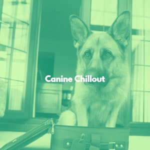 Canine Chillout - Música de Oficina