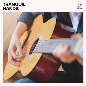 Tranquil Hands - Jazz Guitar Vibes