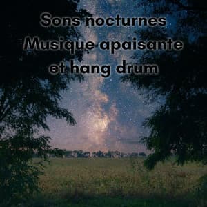 Sons nocturnes, Musique apaisante et hang drum - New Age Musique Zen