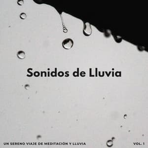 Sonidos De Lluvia: Un Sereno Viaje De Meditación Y Lluvia - Meditación de lluvia