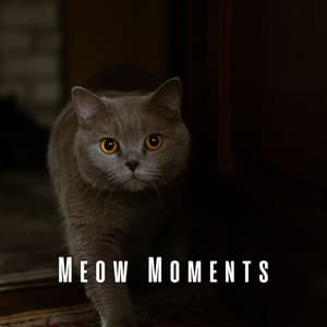 Meow Moments: Coffee Shop Jazz for Contented Cats - Cafe Jazz Relax