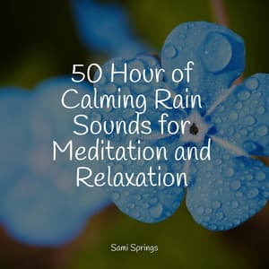 50 Hour of Calming Rain Sounds for Meditation and Relaxation - A Sudden Rainstorm